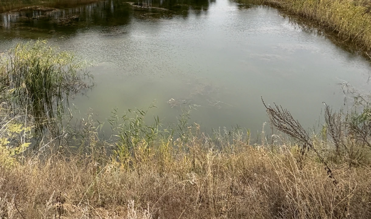 Вдоль 12 рек Воронежской области установили 76 знаков водоохранных зон
