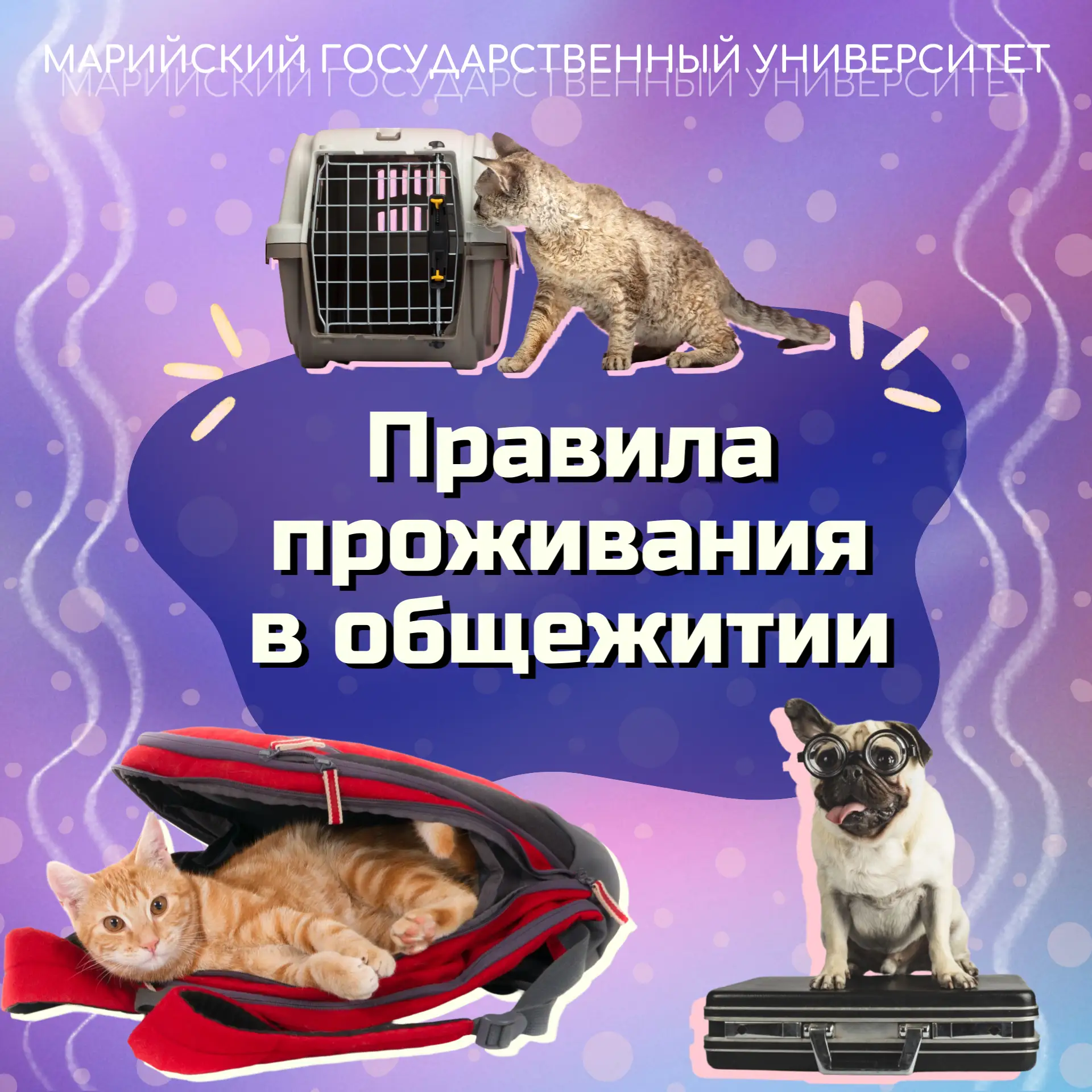 👜 Скоро начнётся новый учебный год, и для многих из вас общежитие станет вторым домом....