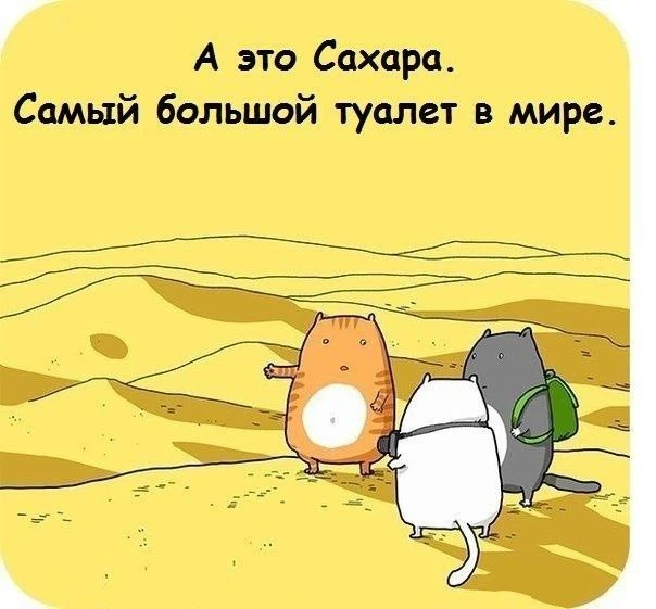 Параллельная Вселенная