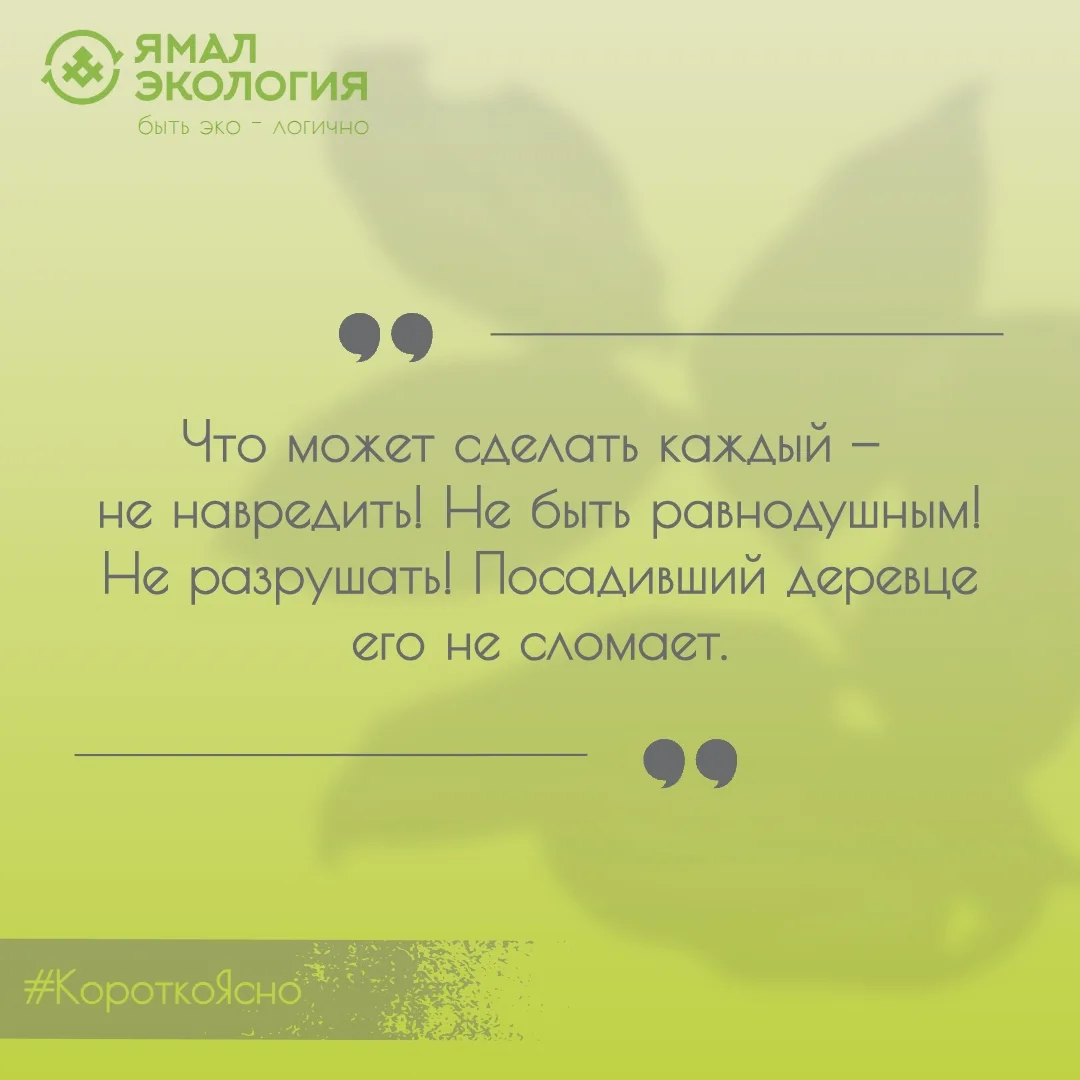 Мы будем убирать мусор, а у вас какие планы на эту неделю? 😉

Доброго утра и хорошего дня!

#Коротк