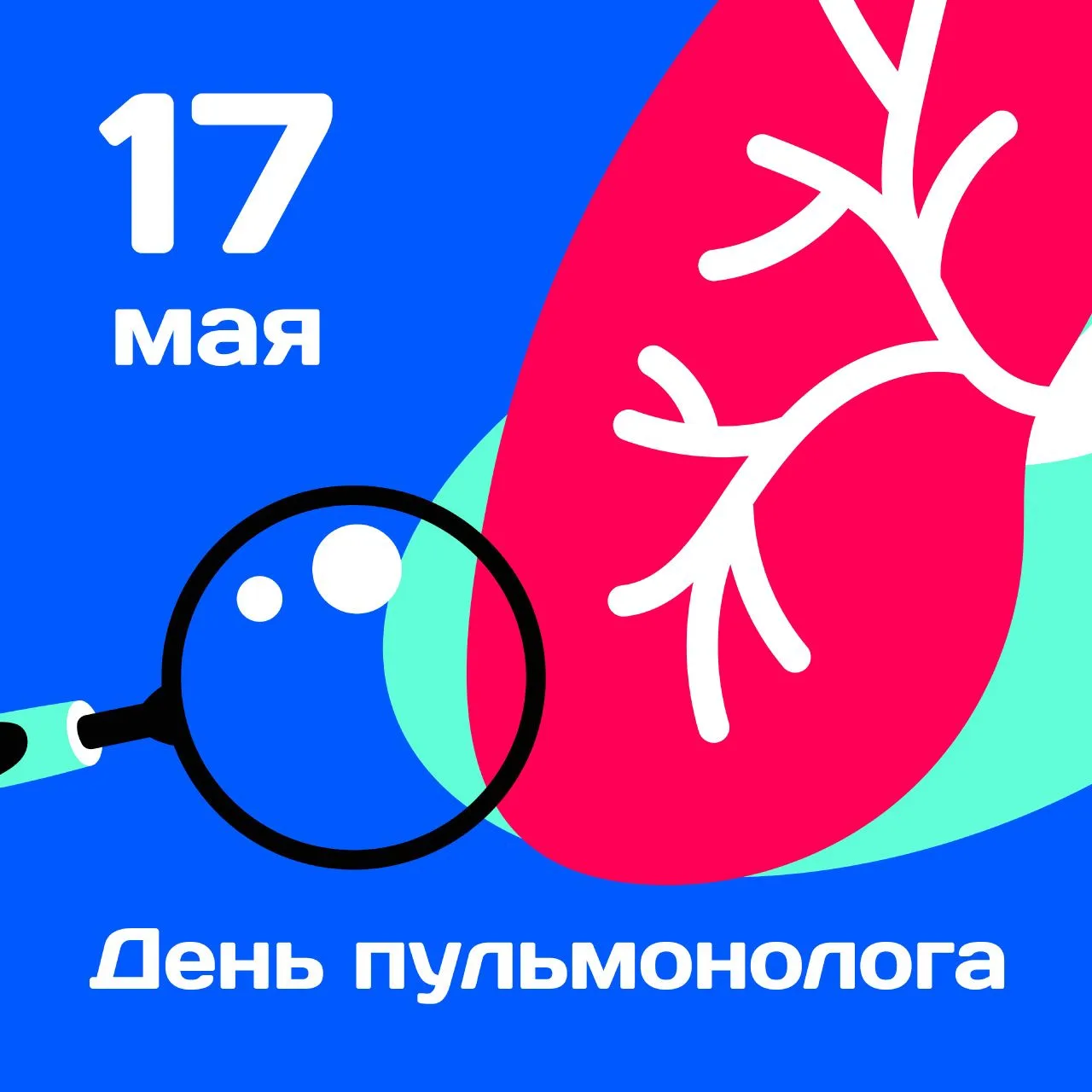 17 мая —  День пульмонолога  Это профессиональный праздник врачей-специалистов, занимающихся диагнос