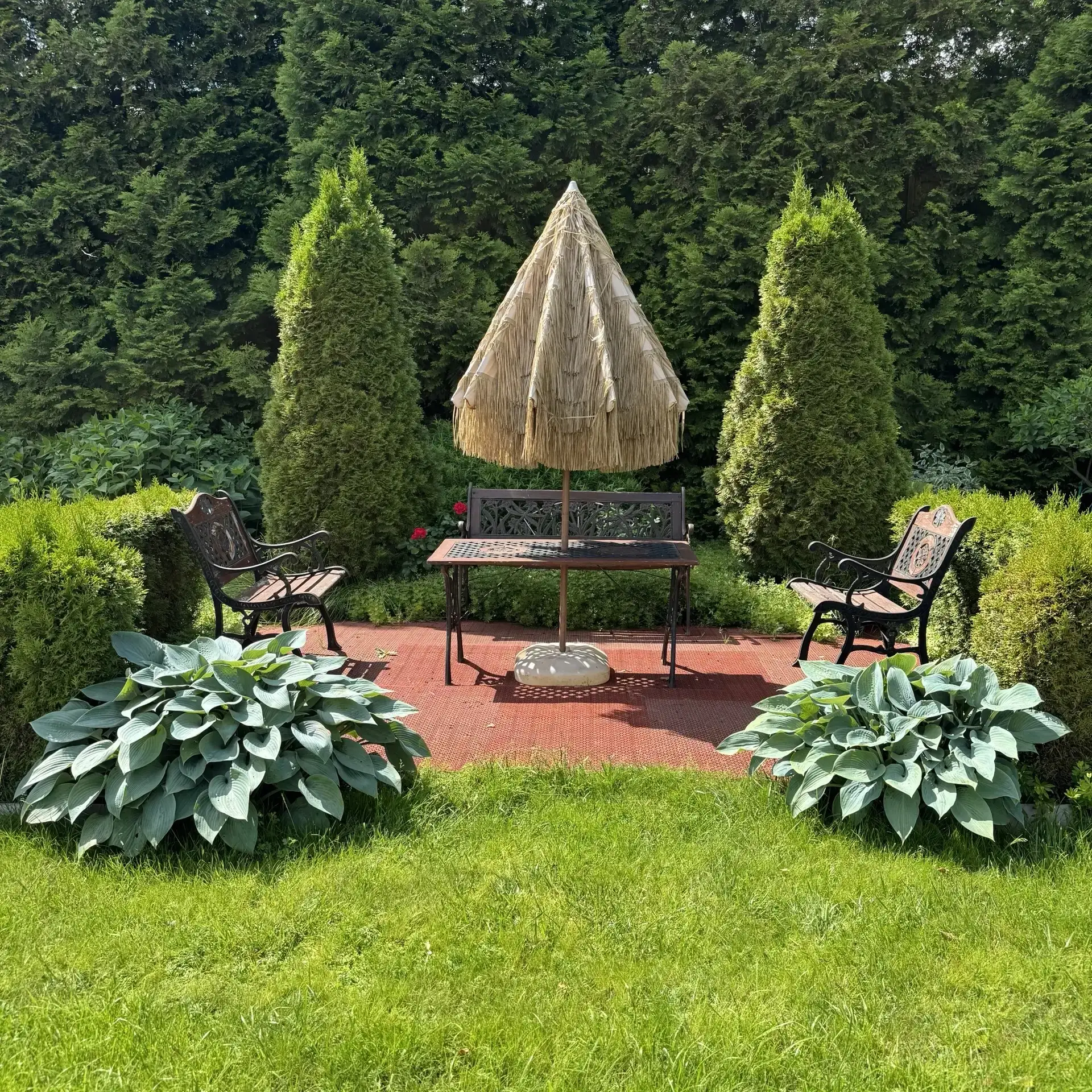 Преображаем участок за один день вместе с хвостами 🌿

Хосты — красота без ожидания. Их фактурная ли
