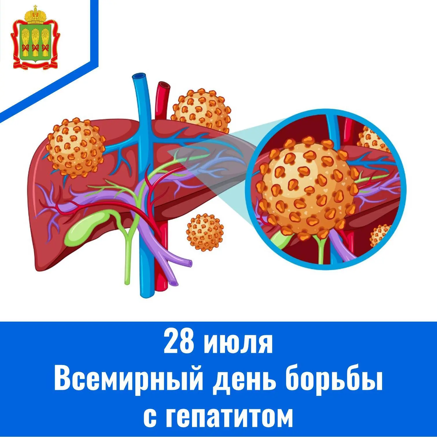 Всемирный день борьбы с гепатитом отмечается с 2008 года по инициативе Всемирного альянса по борьбе 