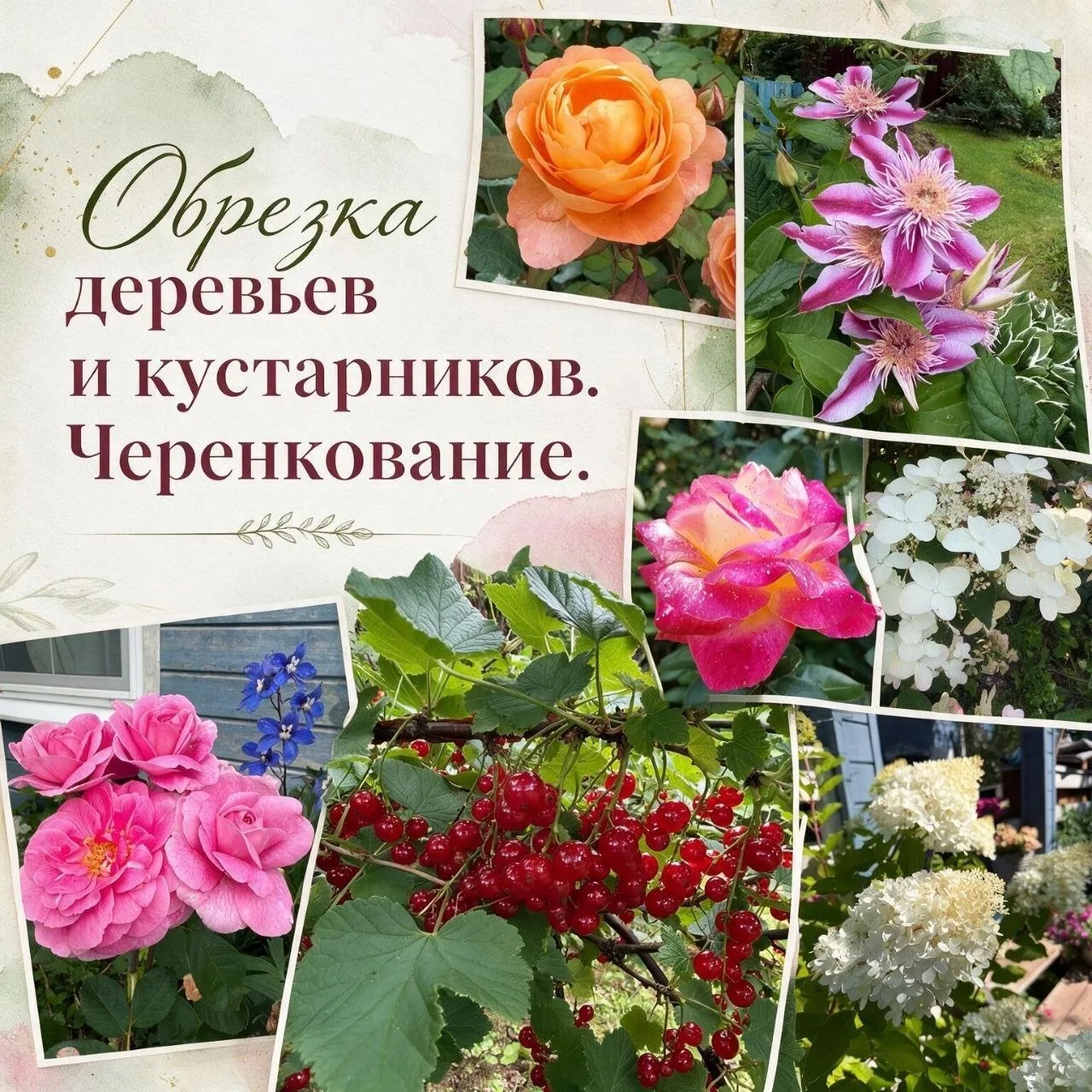 Друзья, приглашаем вас на следующее онлайн-занятие Летнего лектория!