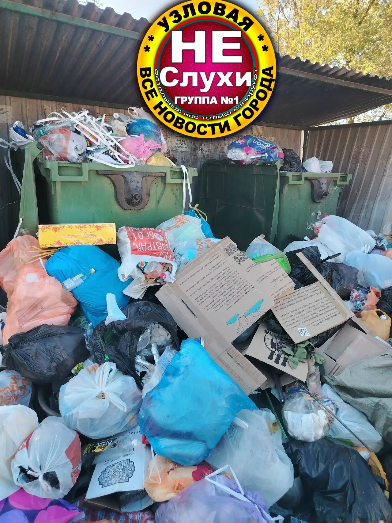 Уважаемая администрация почему не вывозят мусор  пос. Горняцкий. Уже крысы ходят как бу...