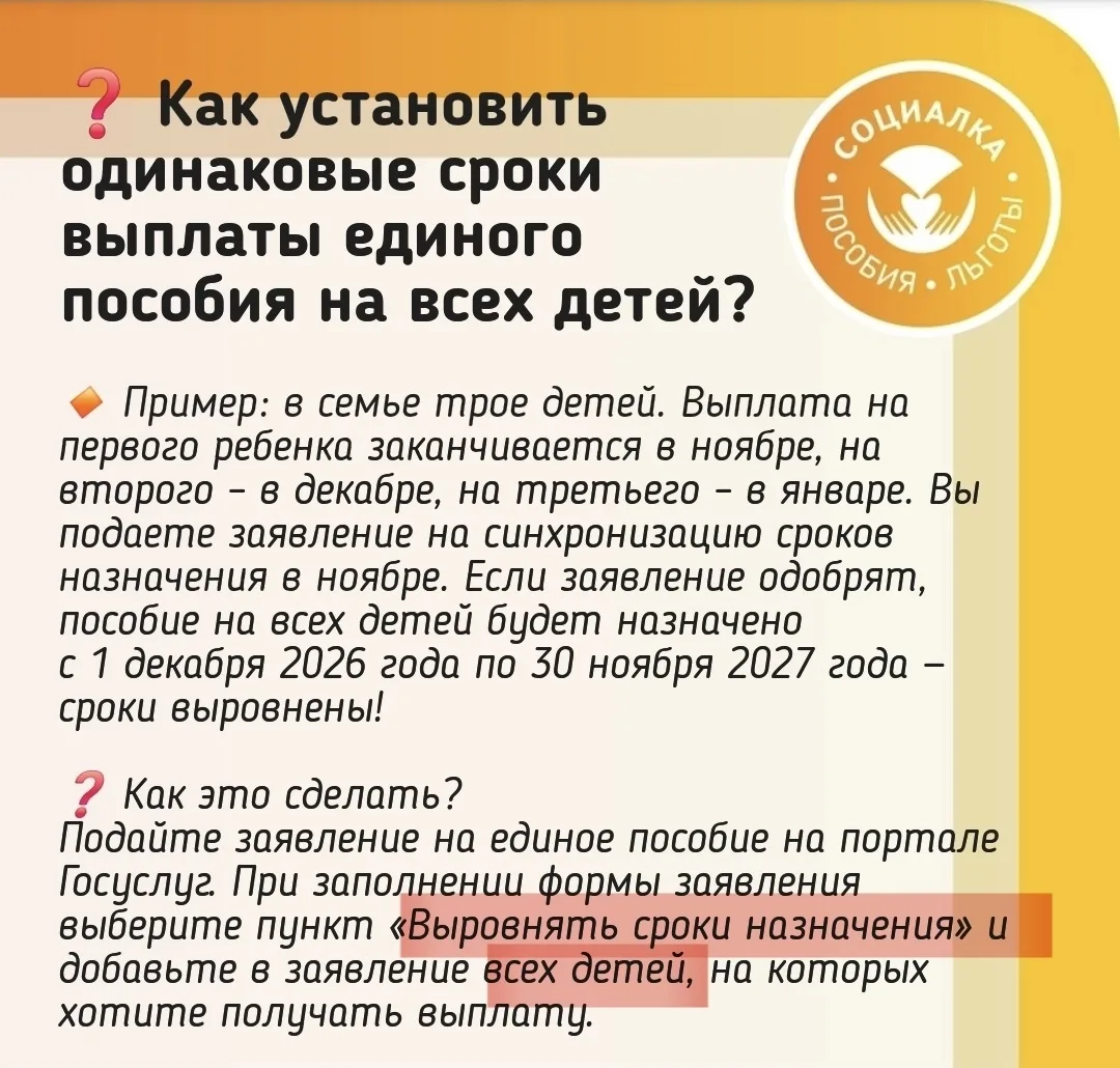 📆 Как установить одинаковые сроки выплаты единого пособия на всех детей?  Подпишитесь Социалка Росси