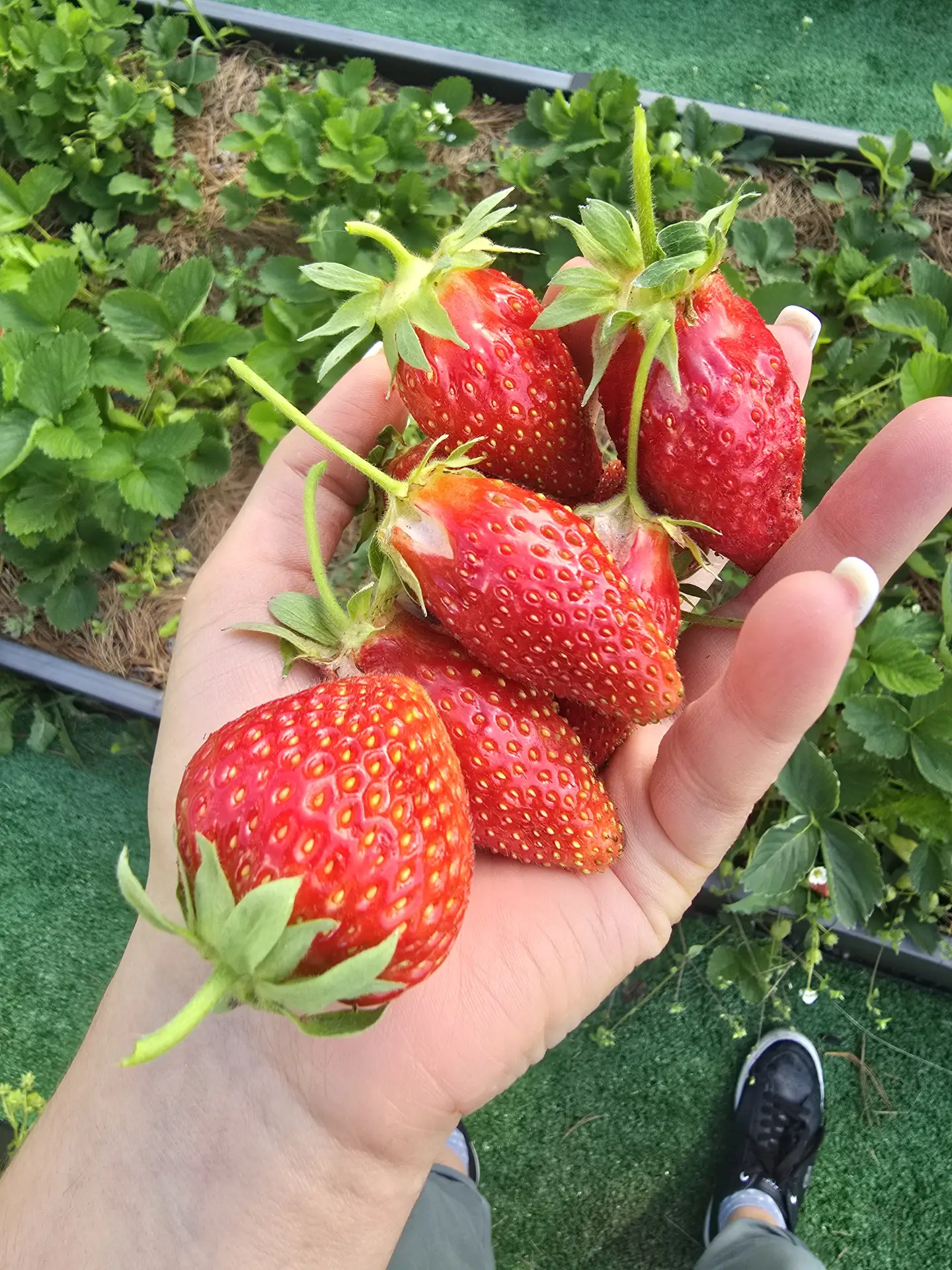Пока 3D-принтер у нас ремонтируется, наслаждаемся загородной жизнью 🌿🍓