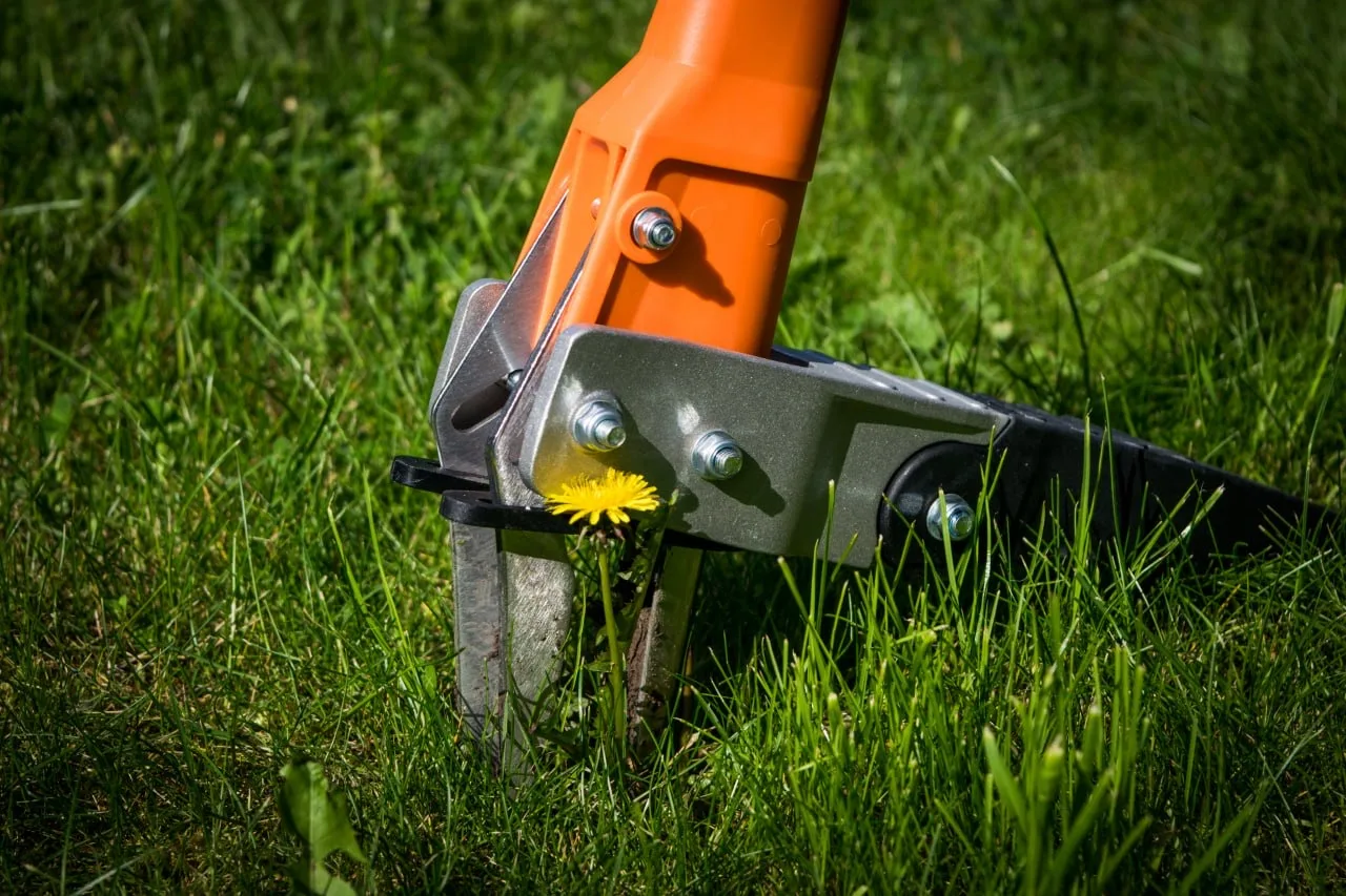 🌱 Газон вашей мечты — это просто!