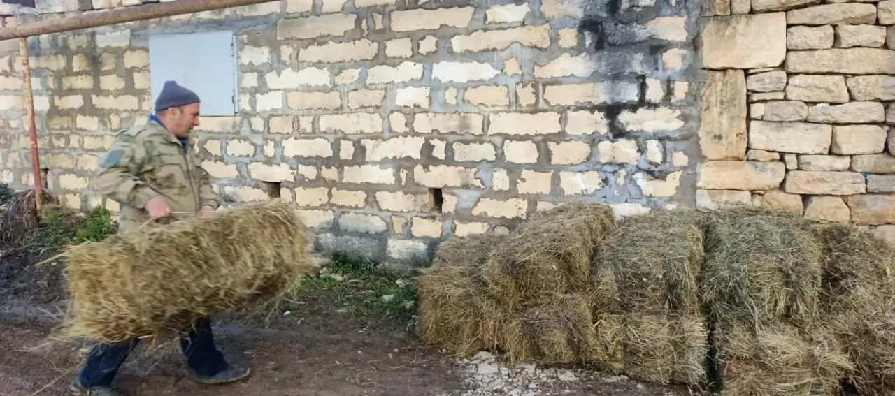 Истинный сосед познается в беде.