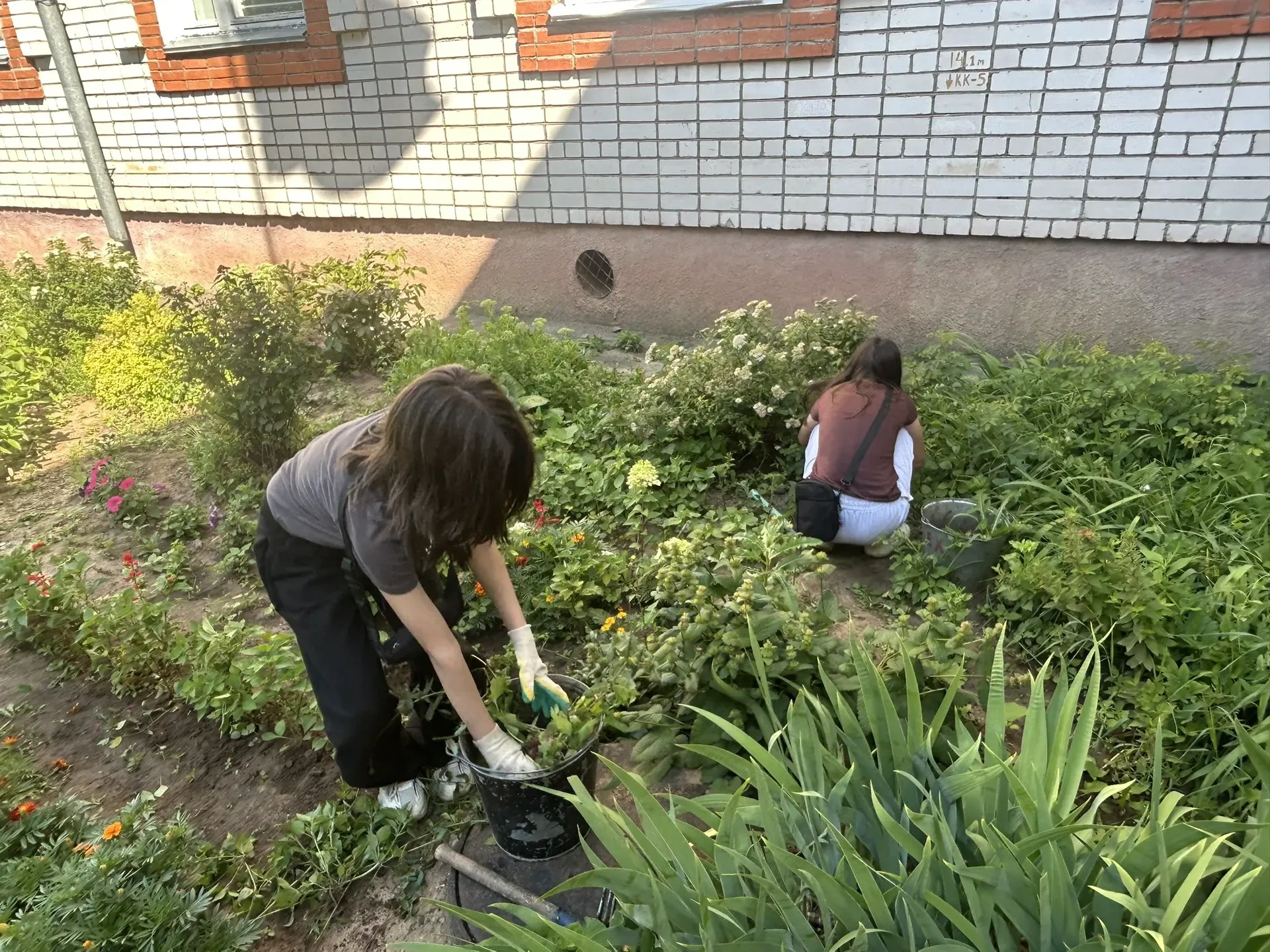 🌱 Наши ребята не сидят без дела — трудятся на пришкольном участке и делают мир чуточку лучше! 💪

�