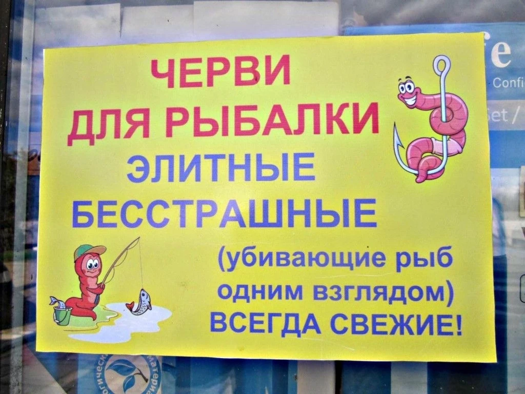 📋 "ДОСКА НАСТРОЕНИЯ" В ШОУ "ПУШ" 😂