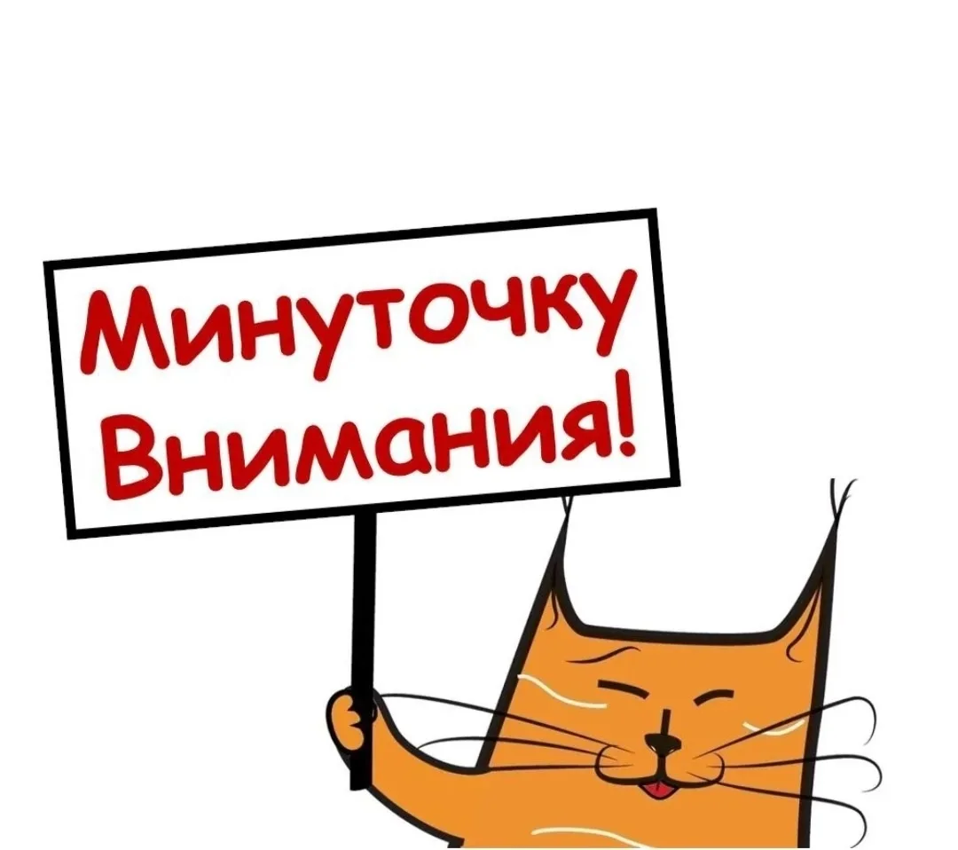 💉Каждую СРЕДУ в ОБУ "Чудовская райветстанция" БЕСПЛАТНАЯ вакцинация против бешенства. 💉