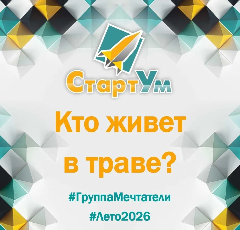 Кто живет в траве? 

Сегодня «Мечтатели» превратились в настоящих следопытов! Наша цель — насекомые.