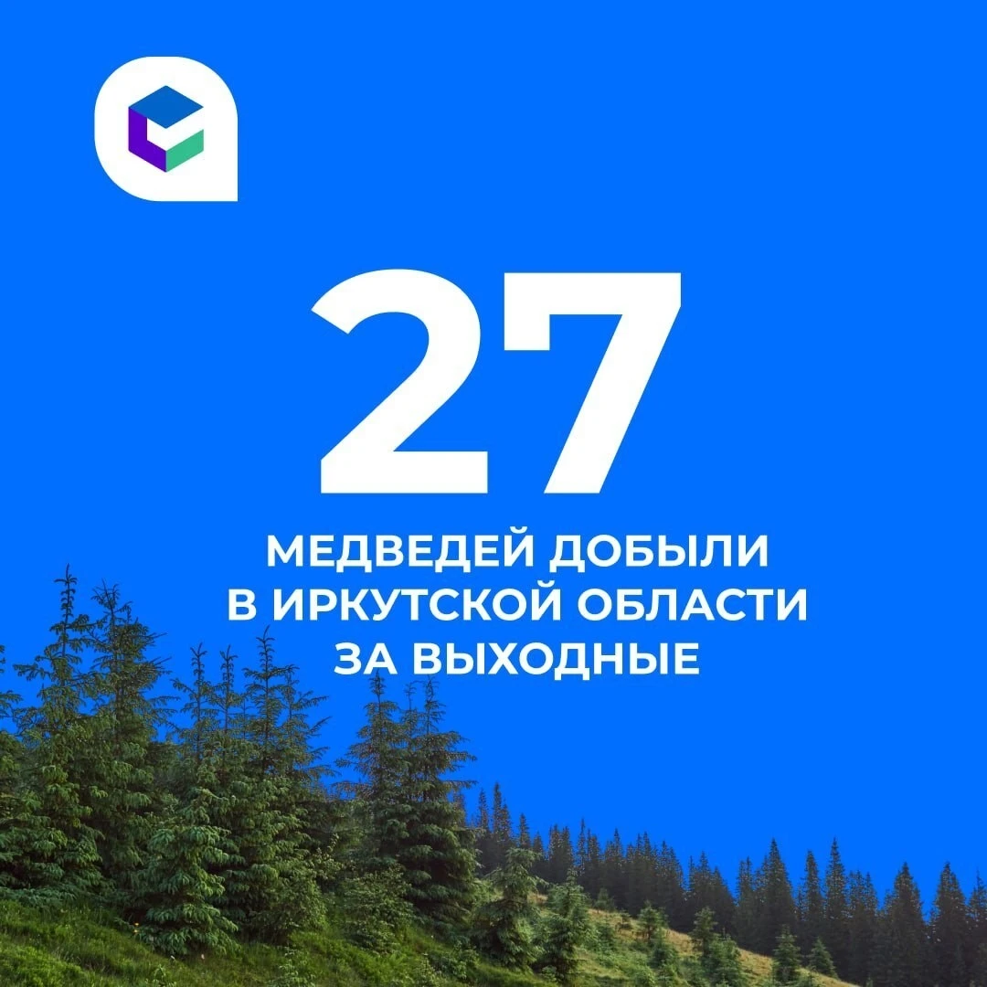 🐻300 медведей добыли в Иркутской области с начала периода их активности.