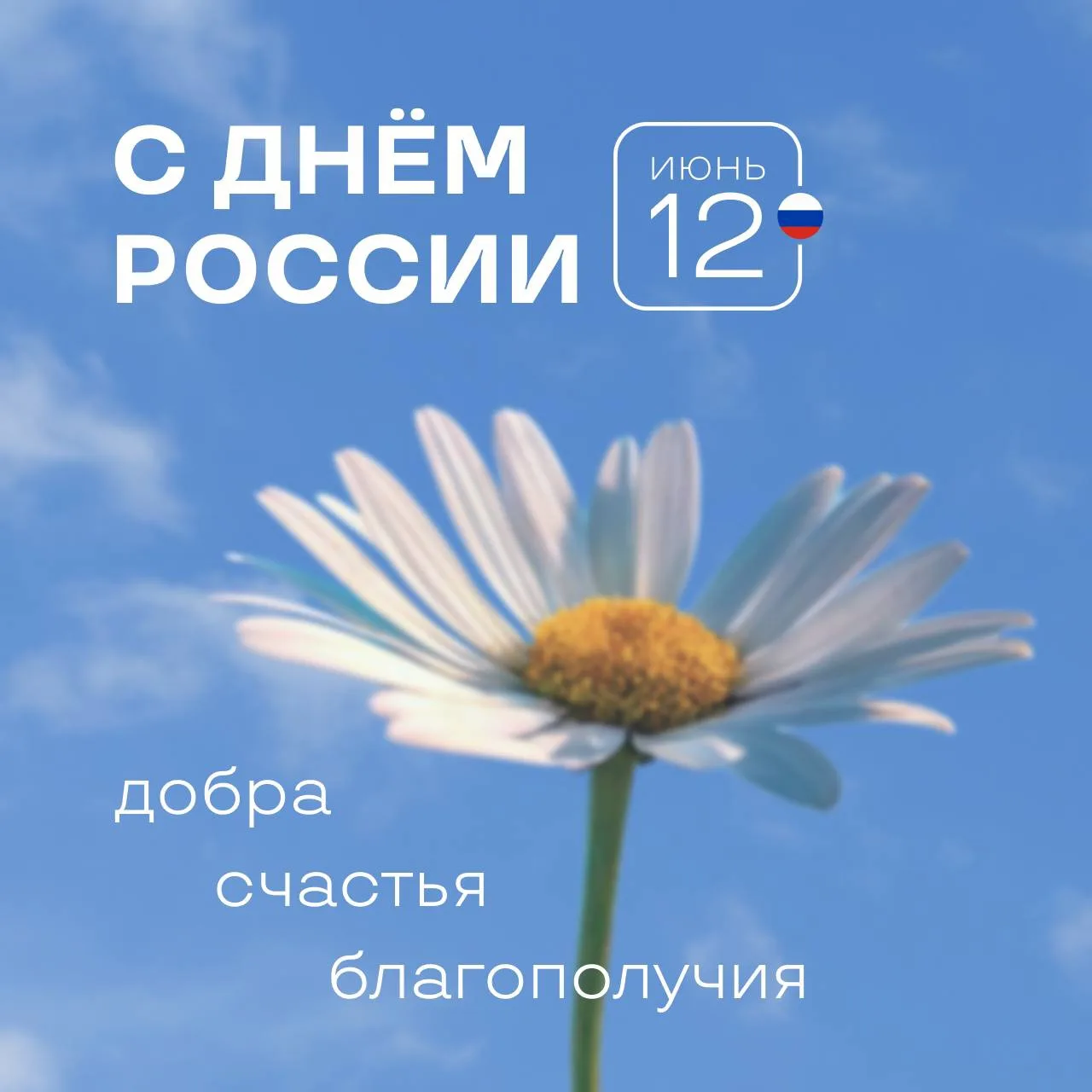 С Днём России! Проведи эти выходные с родными и близкими 🫶🏼
