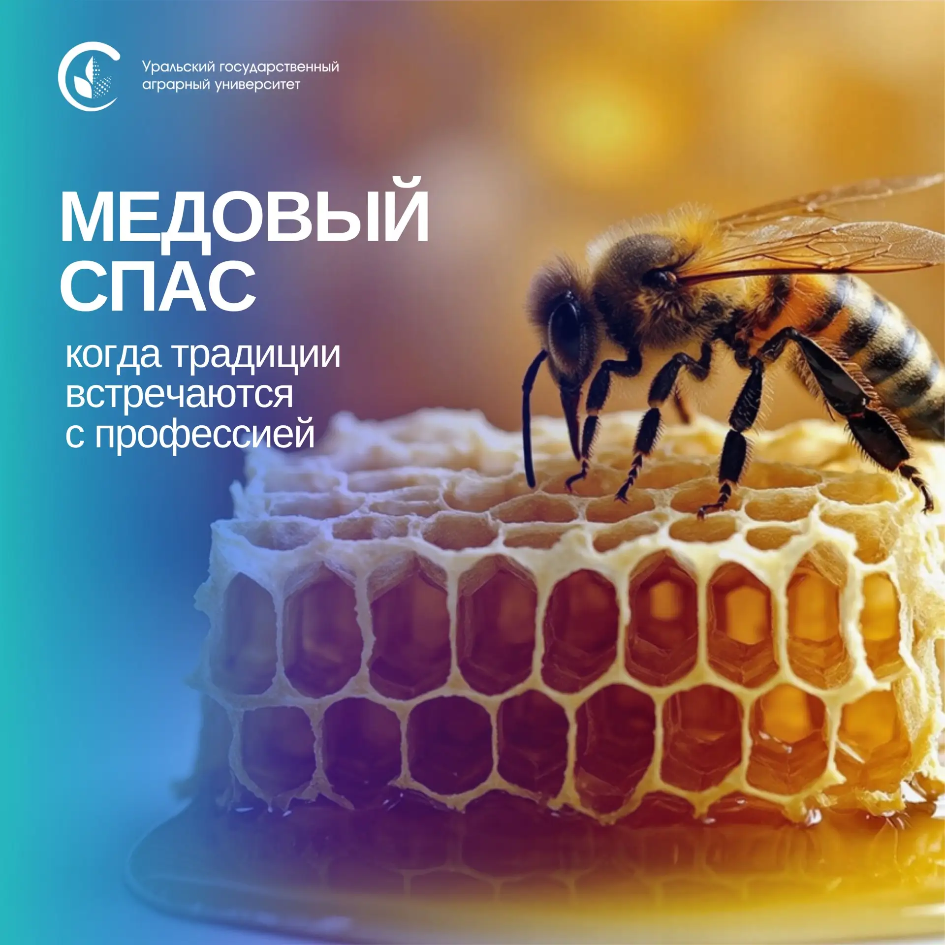 Пчёлы тоже нуждаются в специалистах 🐝💚