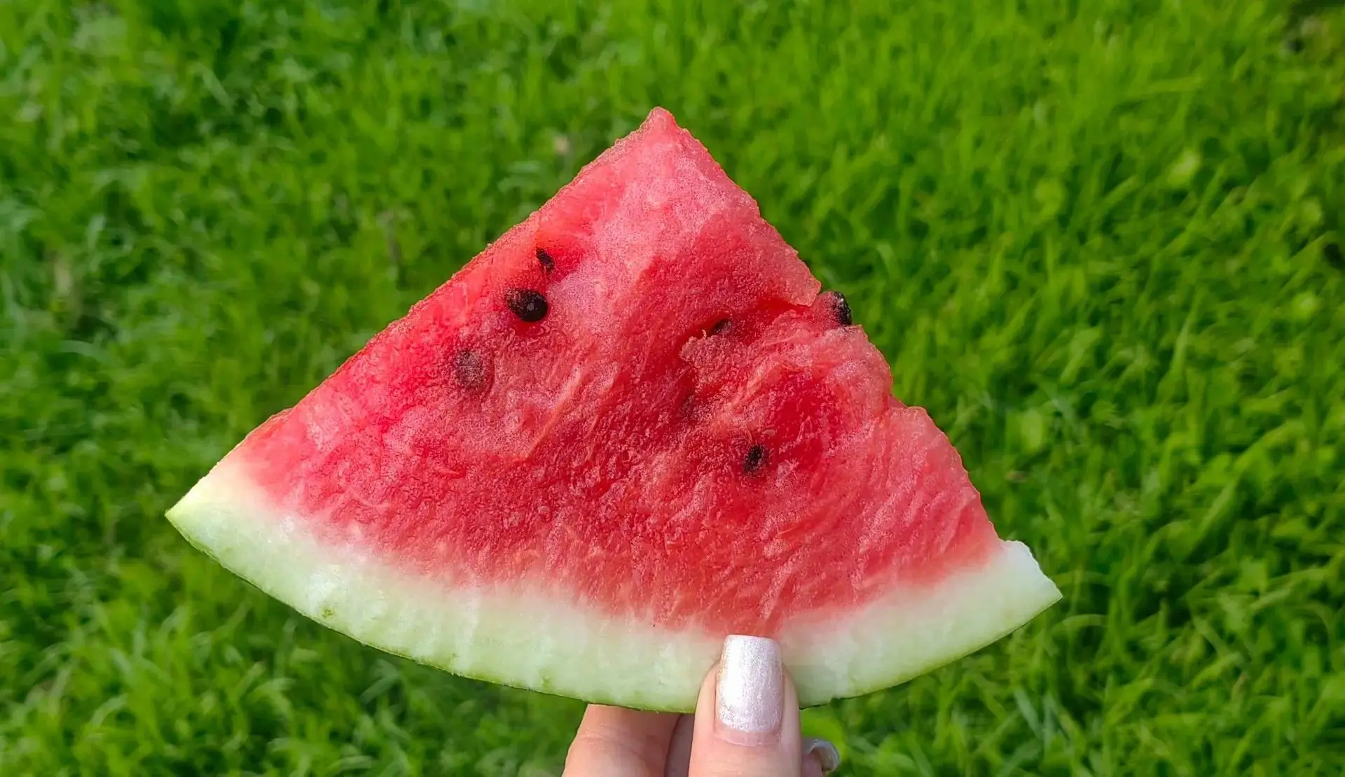 Его называют королевской ягодой! ☀️🍉