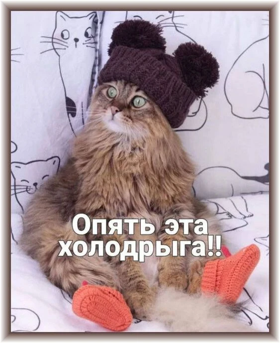 ‼️Похолодание до -27°С и потепление до 0°С ожидаются в республике на текущей неделе, сообщили в Гидр