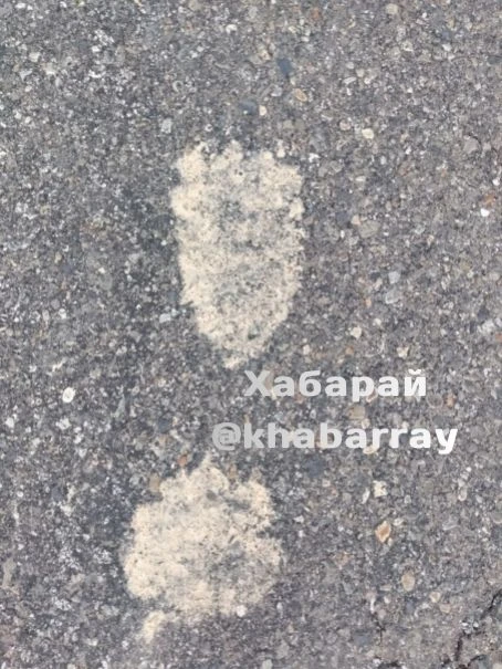 Очень, очень грязный медведь прогулялся по дороге в районе имени Лазо со стороны Киинска ближе к Мог