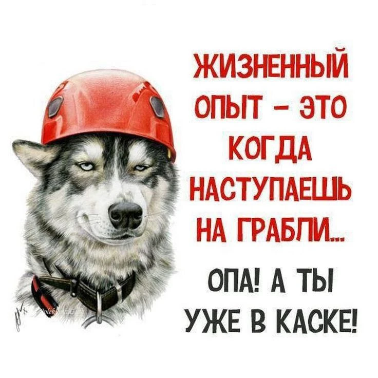 #юмор
Картинки на каждый день