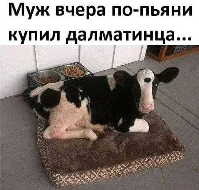 харош смеяться
