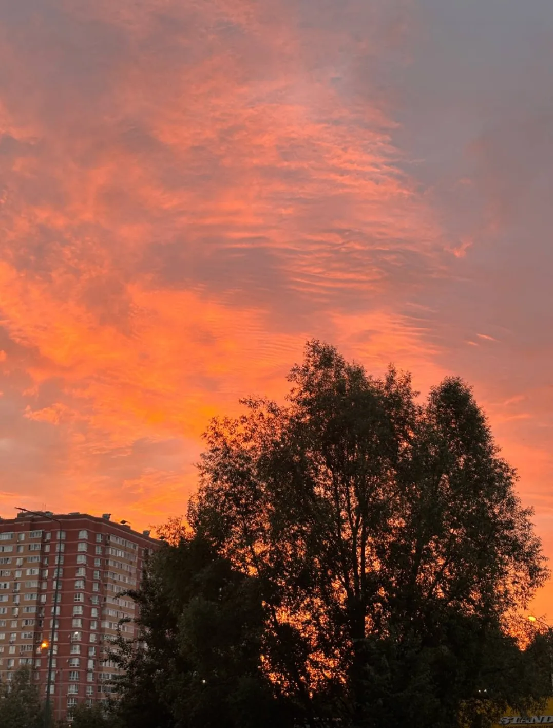 Еще немного красивых фотографий от подписчиков! 😍

Балашиха Life
Прислать новость