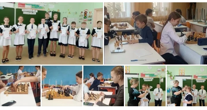 🏆 Шахматный финиш и сладкий финал!
