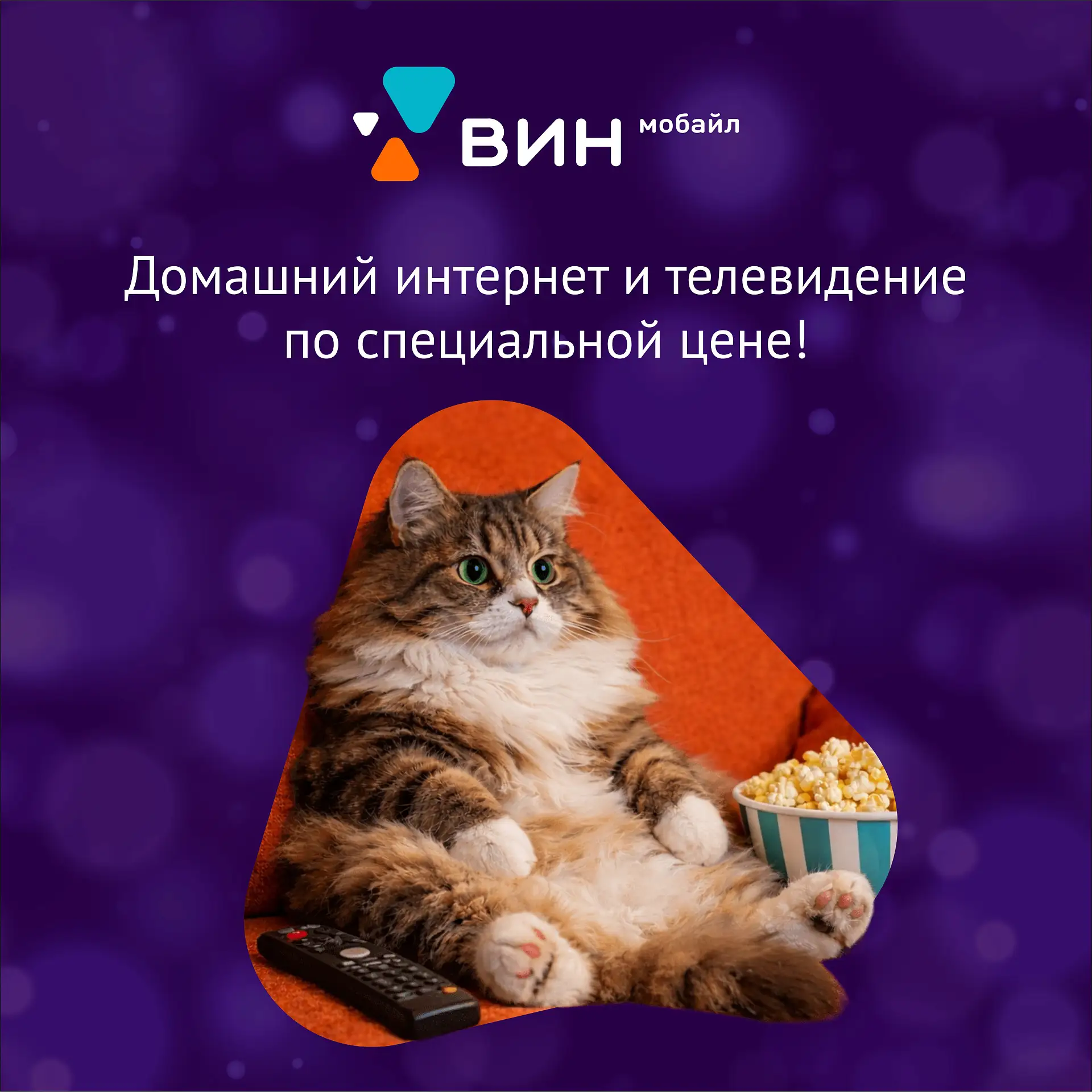 Домашний интернет и телевидение по специальной цене!