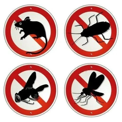 НЕЗВАНЫЕ ГОСТИ: КАК ЗАЩИТИТЬ ДОМ ОТ ГРЫЗУНОВ И НАСЕКОМЫХ 🐹 🕷