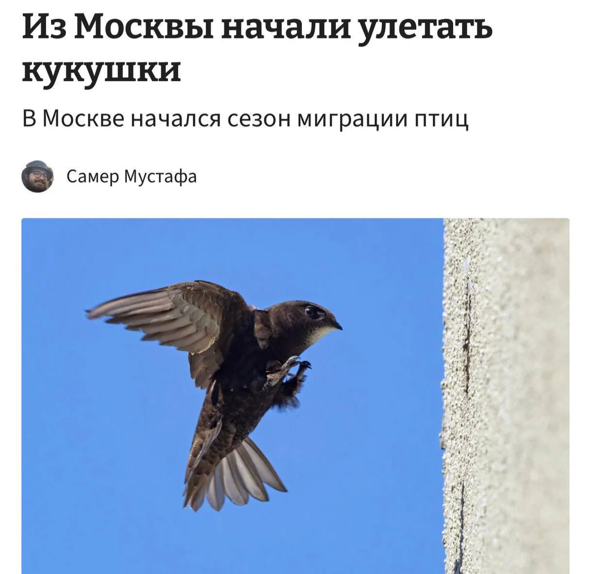 В Москве массовый отлет КУКУХ