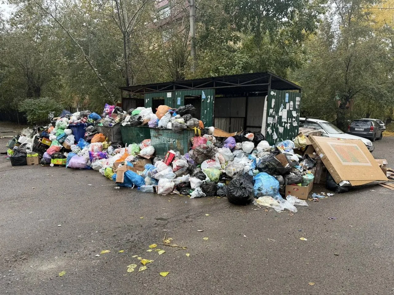 🚯 В Чите переполнена мусорная площадка