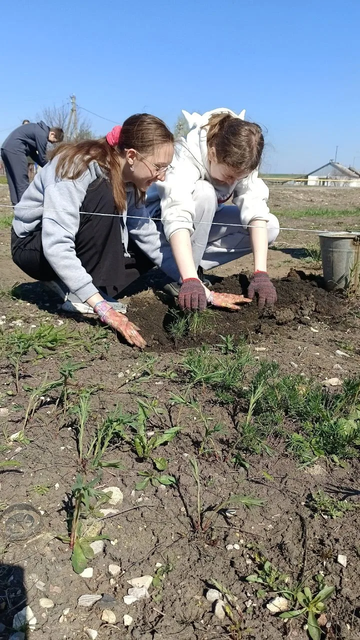 Патриотическая акция «Сад памяти» прошла в с. Анастасьино ! 🌿🌿🌿