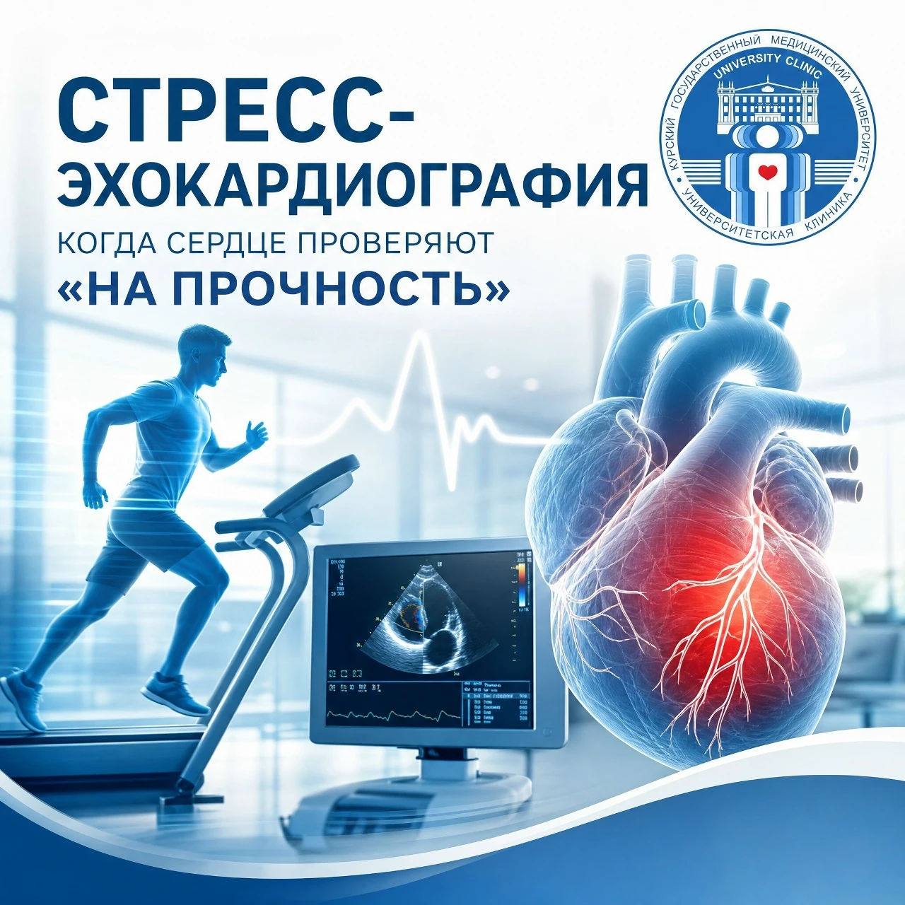 СТРЕСС-ЭХОКАРДИОГРАФИЯ: КОГДА СЕРДЦЕ ПРОВЕРЯЮТ «НА ПРОЧНОСТЬ»