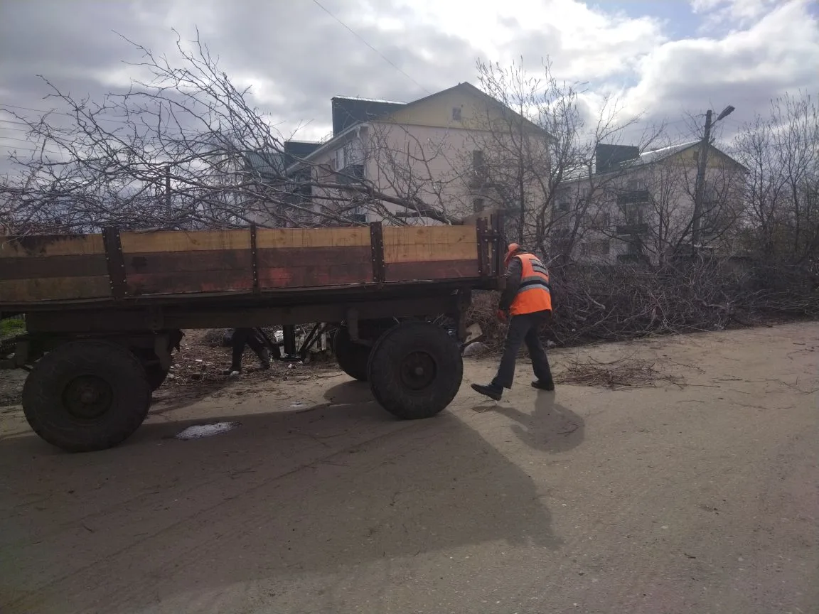 В р.п. Колышлей проводятся работы по  уборке не санкционированных свалок возле площадок ТБО.