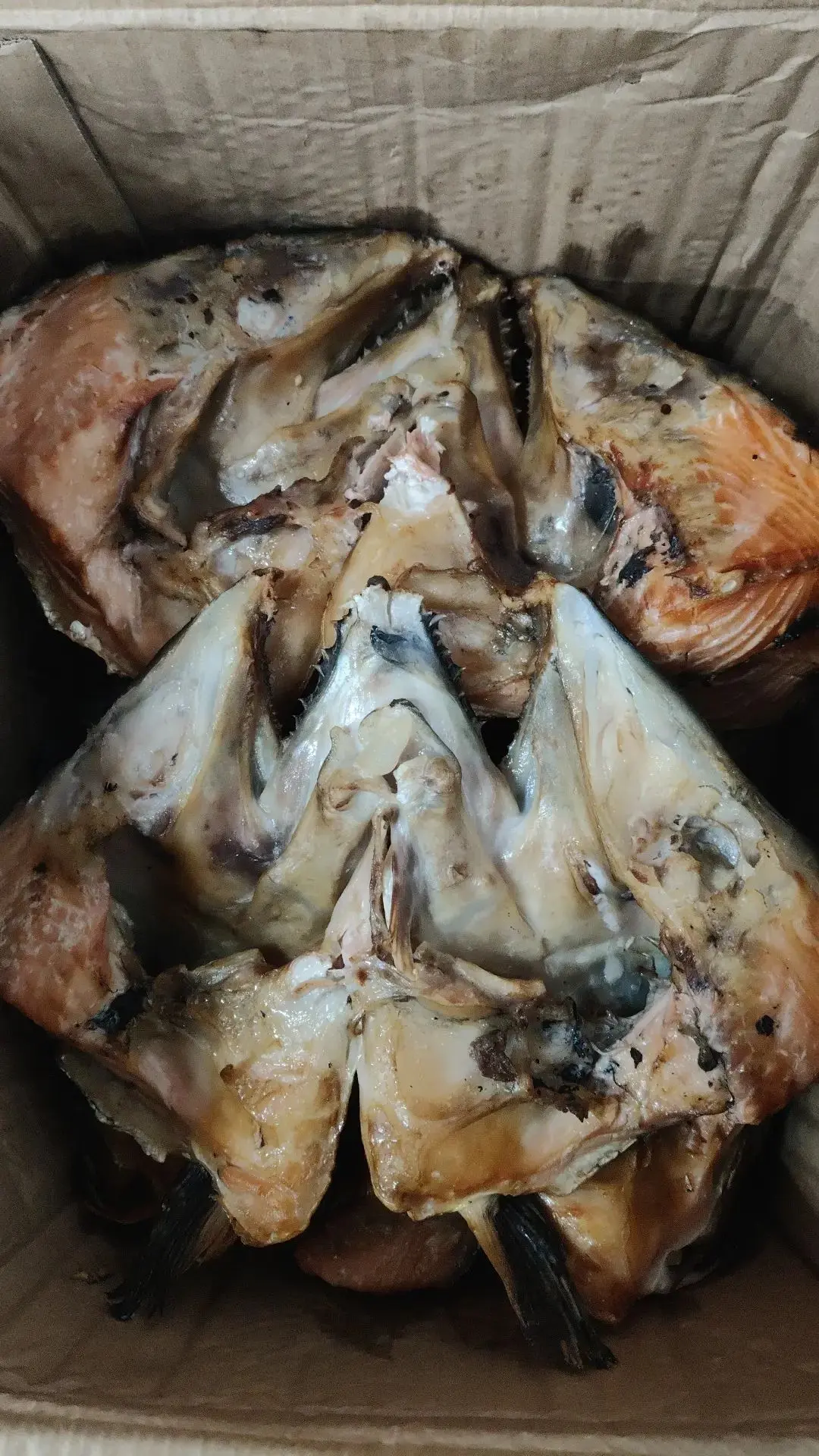 🐟 Пятница — самое время заглянуть за рыбкой!