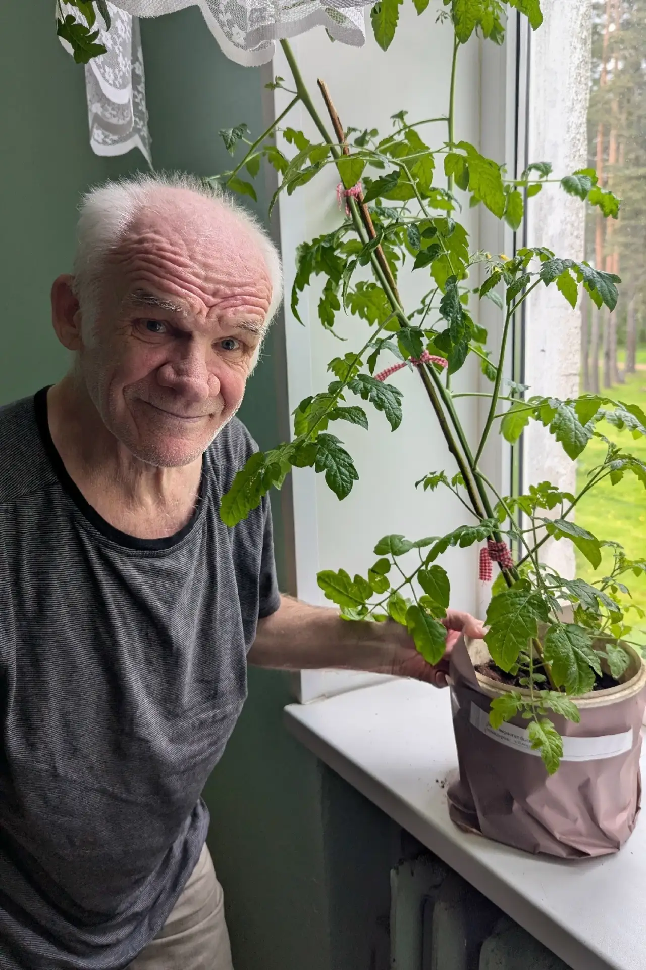 Лето экспериментов начинается!🍅☀️