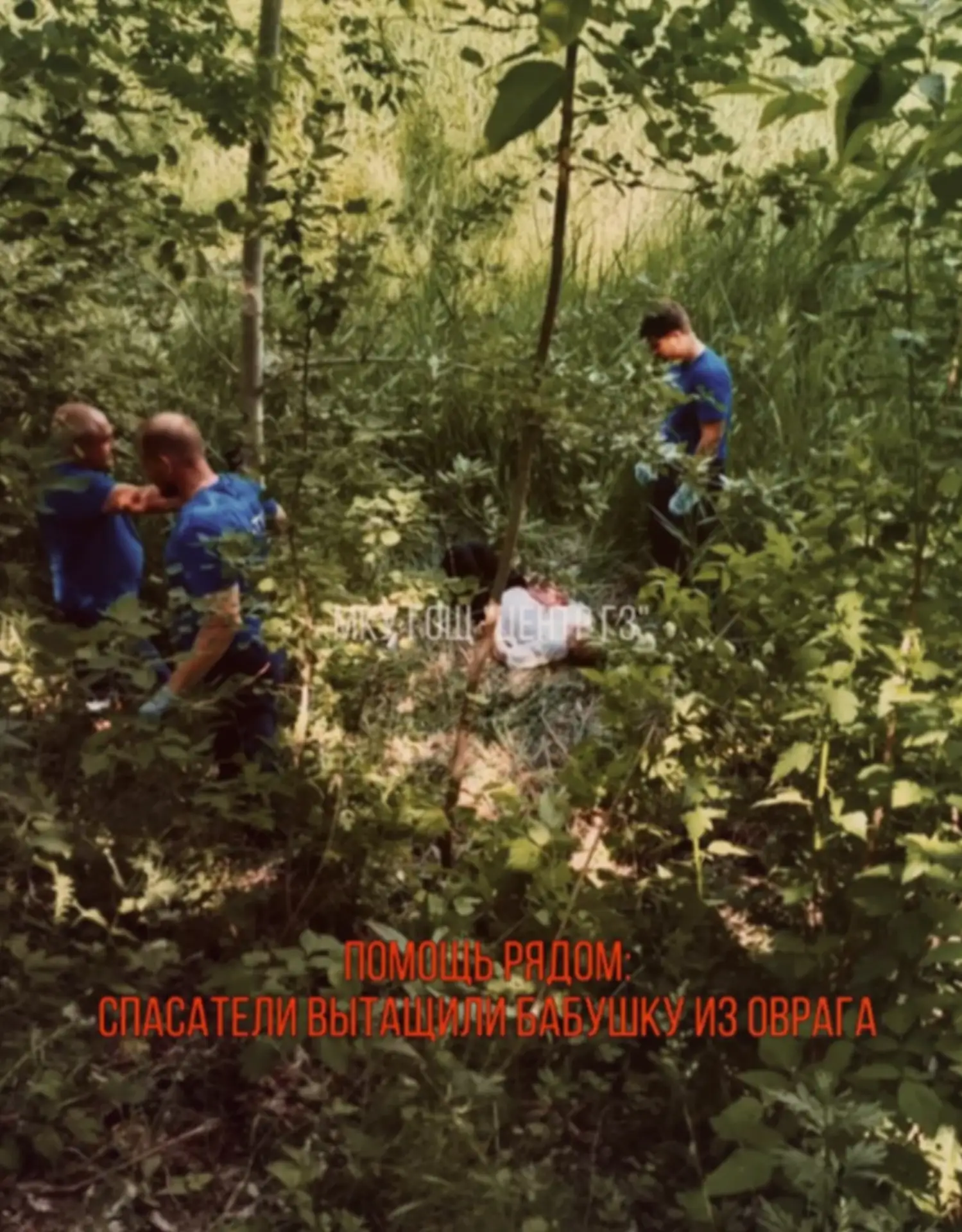 Аварийно‑спасательный отряд спас пожилую женщину пролежавшую в овраге несколько дней