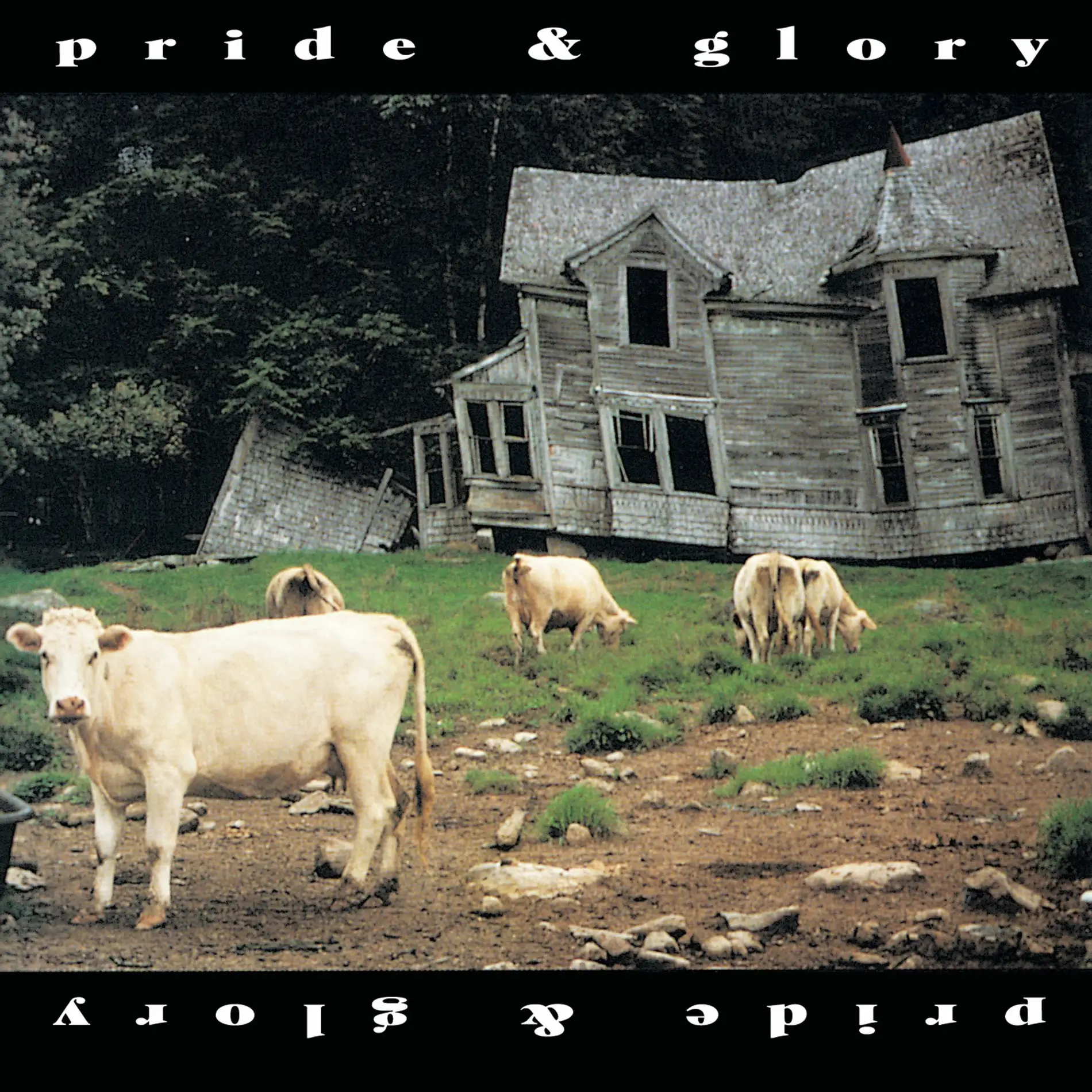 PRIDE & GLORY - PRIDE & GLORY (1994)