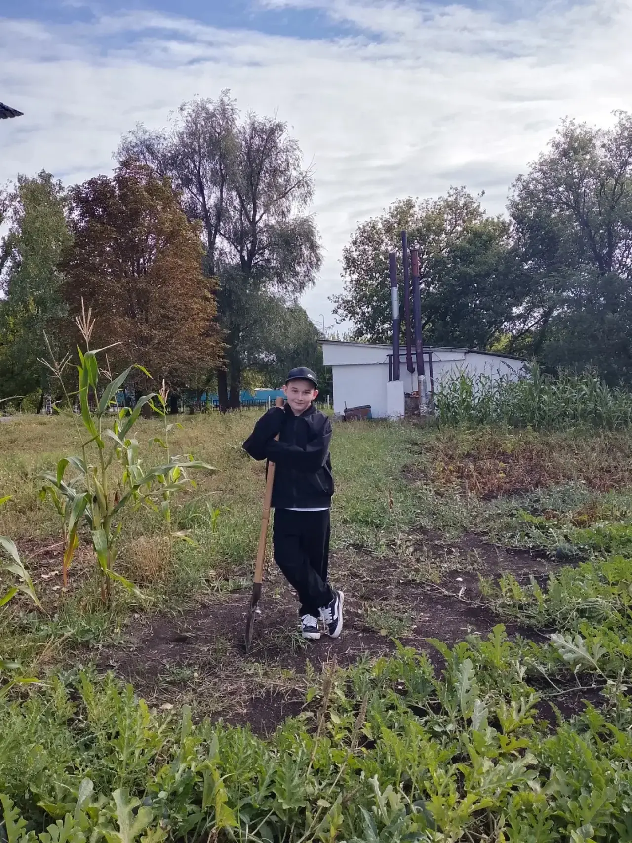 Ура — урожай собран! 🥕🍅
