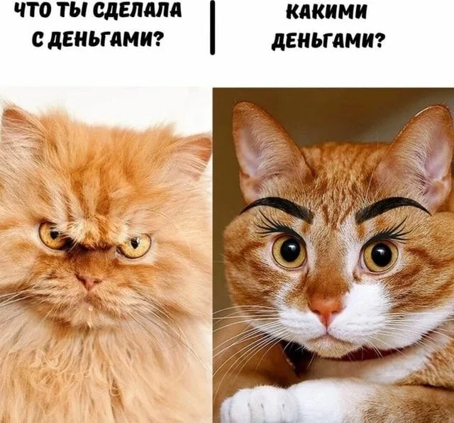 Изображение 1 к публикации «Света, что с бюджетом? 💸»