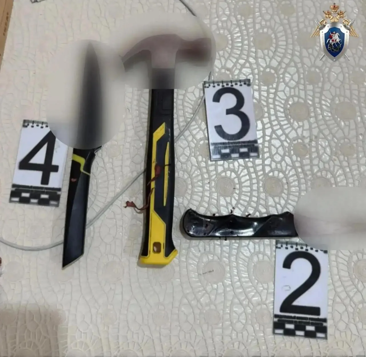 В Курске задержали 17-летнего подростка, подозреваемого в убийстве своей 62-летней мате...