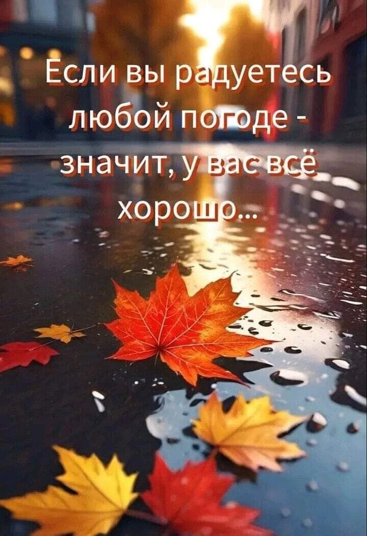 #цитаты