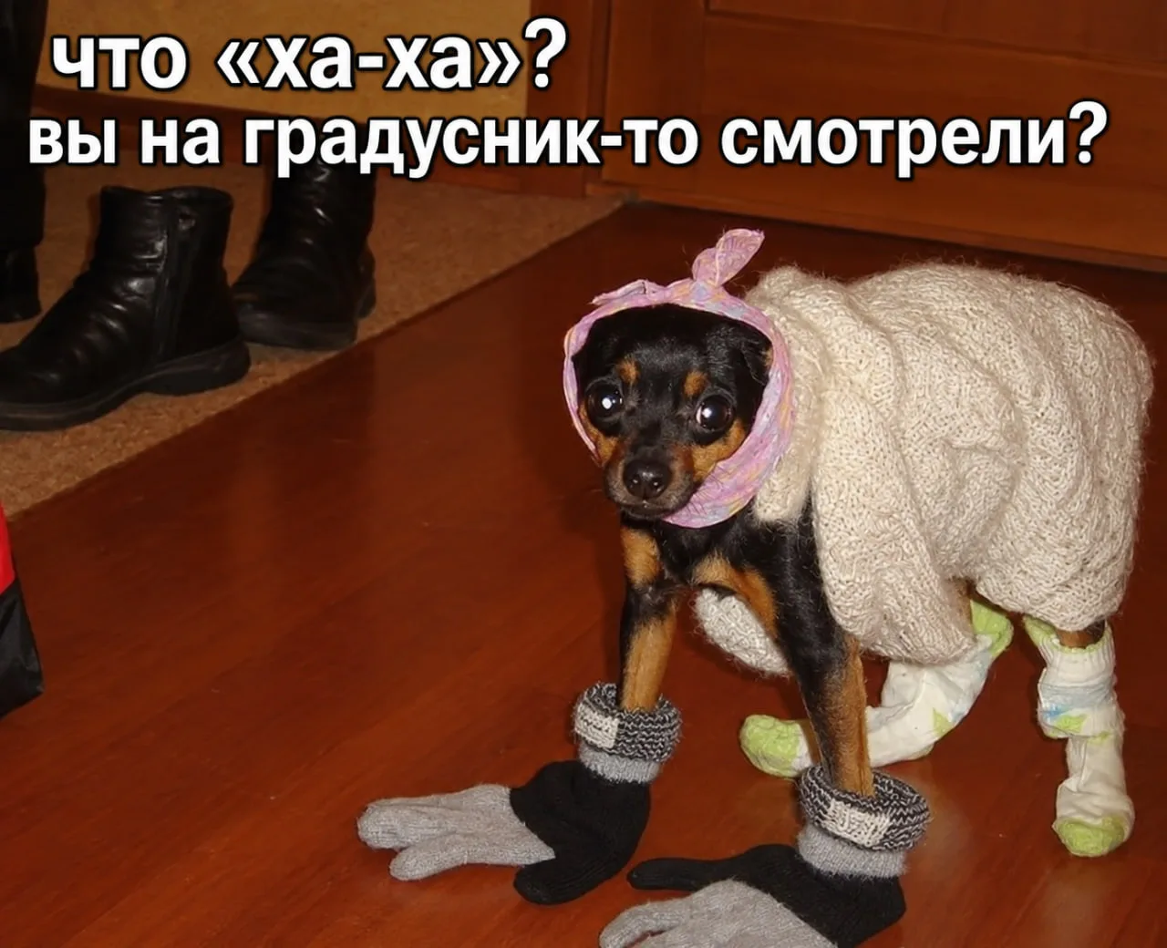 🥶 В Воронеж придёт дубак +3°, но это ненадолго