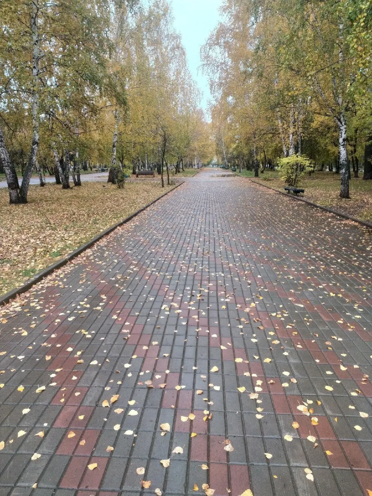 Погода в Сосновоборске на 30 сентября: