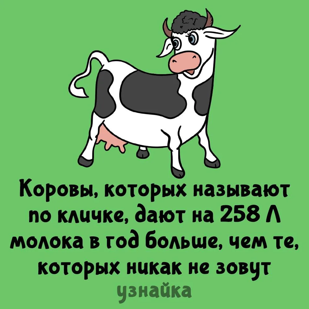 Кто ж не любит хорошее отношение😎