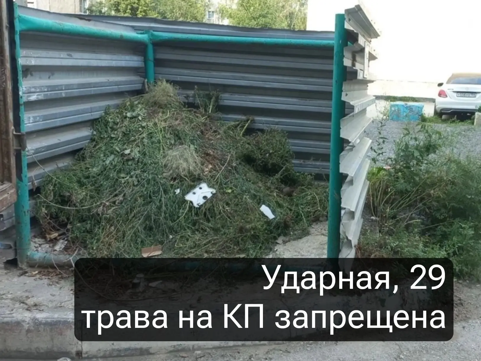 🌳❌Верховный суд подтвердил: веткам не место на контейнерных площадках