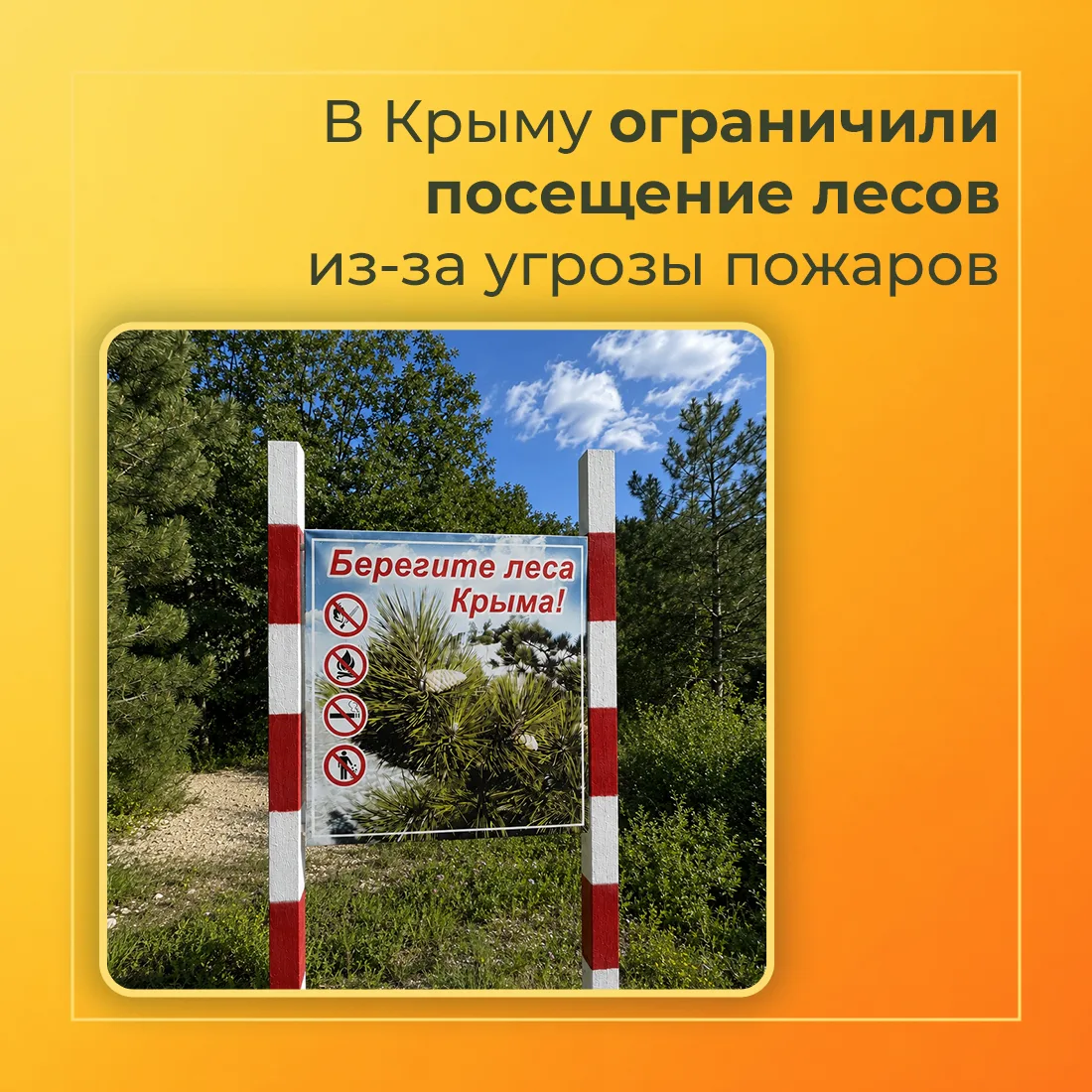 🌳 В Крыму вводится ограничение пребывания граждан в лесах и въезда в них транспортных ...