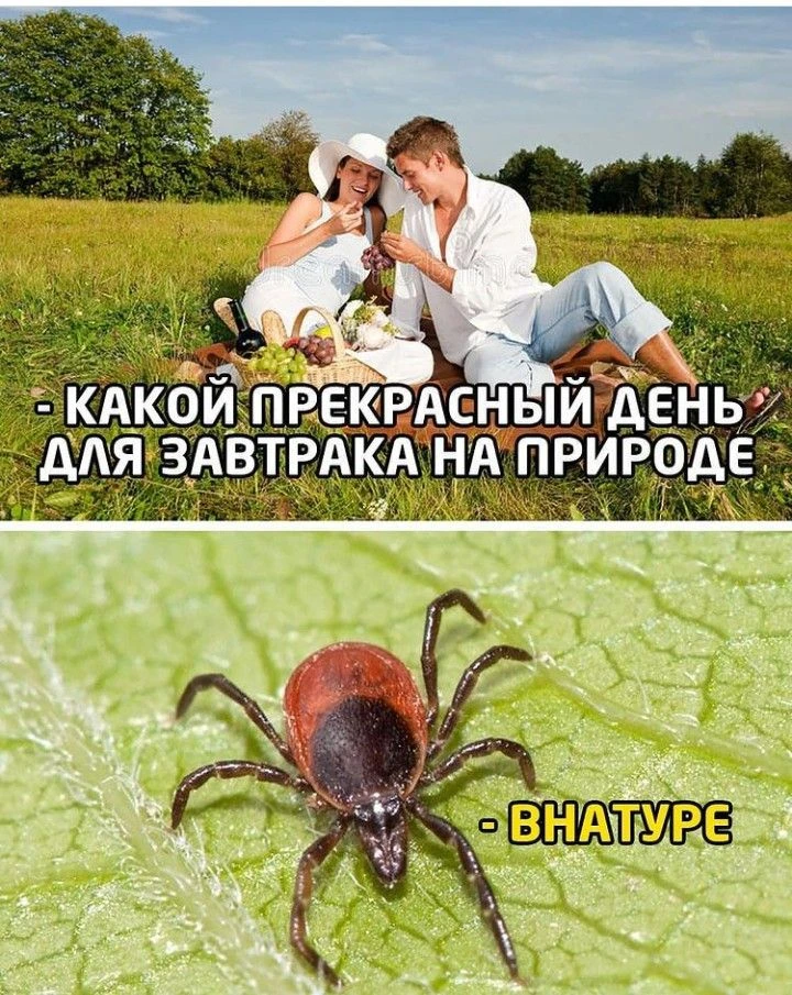 За неделю в больницы Ставрополья с укусами обратились 336 человек — на 44 больше, чем ранее

С начал