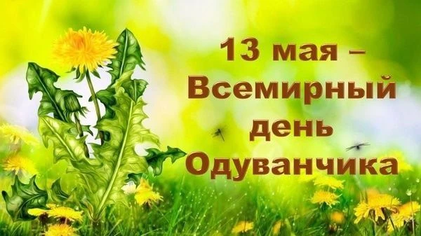 13 мая весь мир отмечает Всемирный день одуванчика. Этот яркий майский цветок – настоящ...