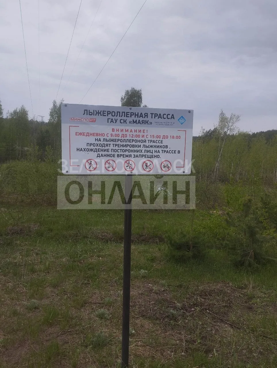 Спортсмены приходят не с одноразовыми бутылками, а вот гуляющие и прогуливающиеся позво...
